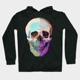 Instead of 1 Skull, it's 4 Hoodie